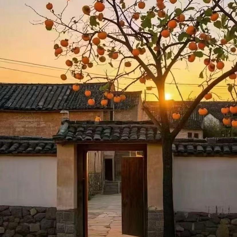 浩旭基地