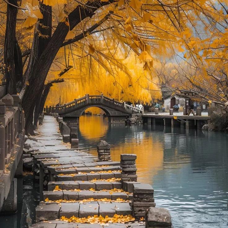 巴掌那么大