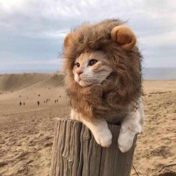 融悦 湖境月华•李彤