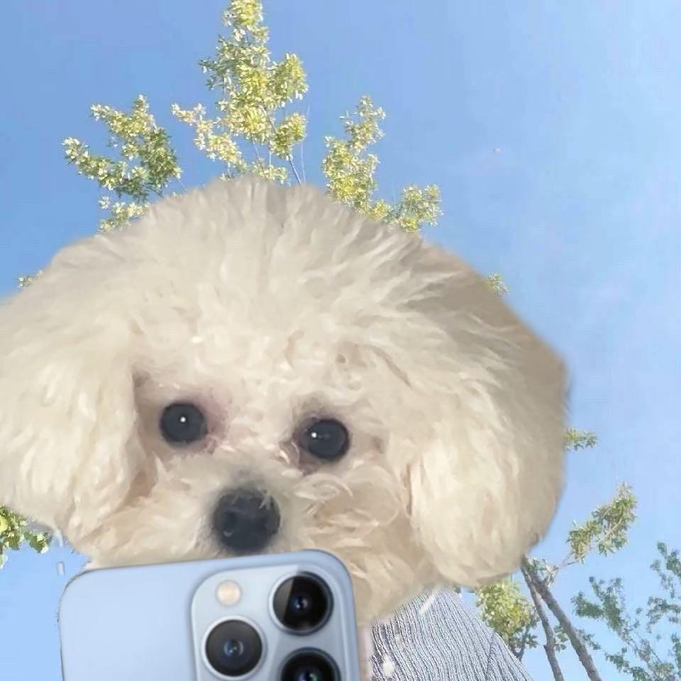 HKKK