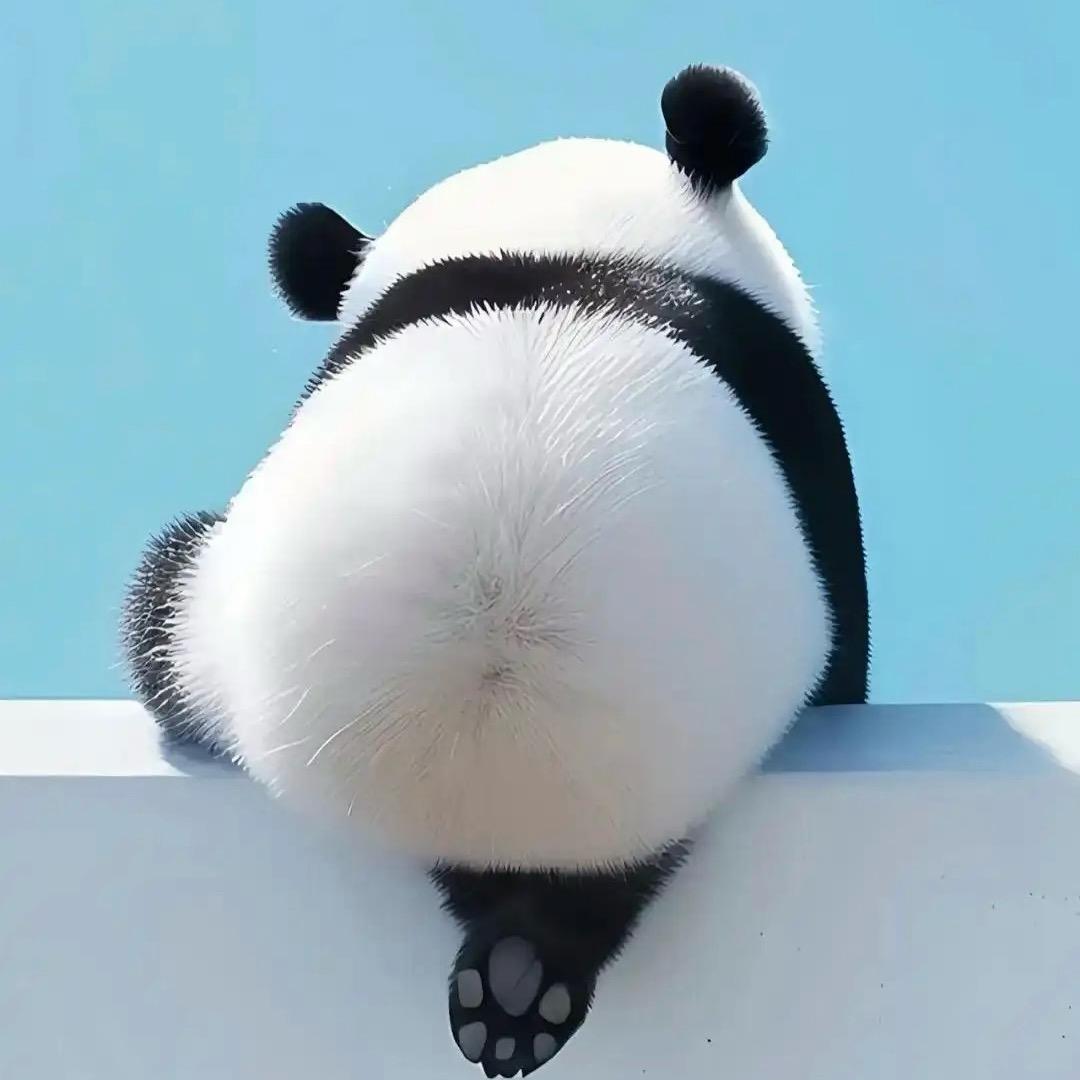 橞橞