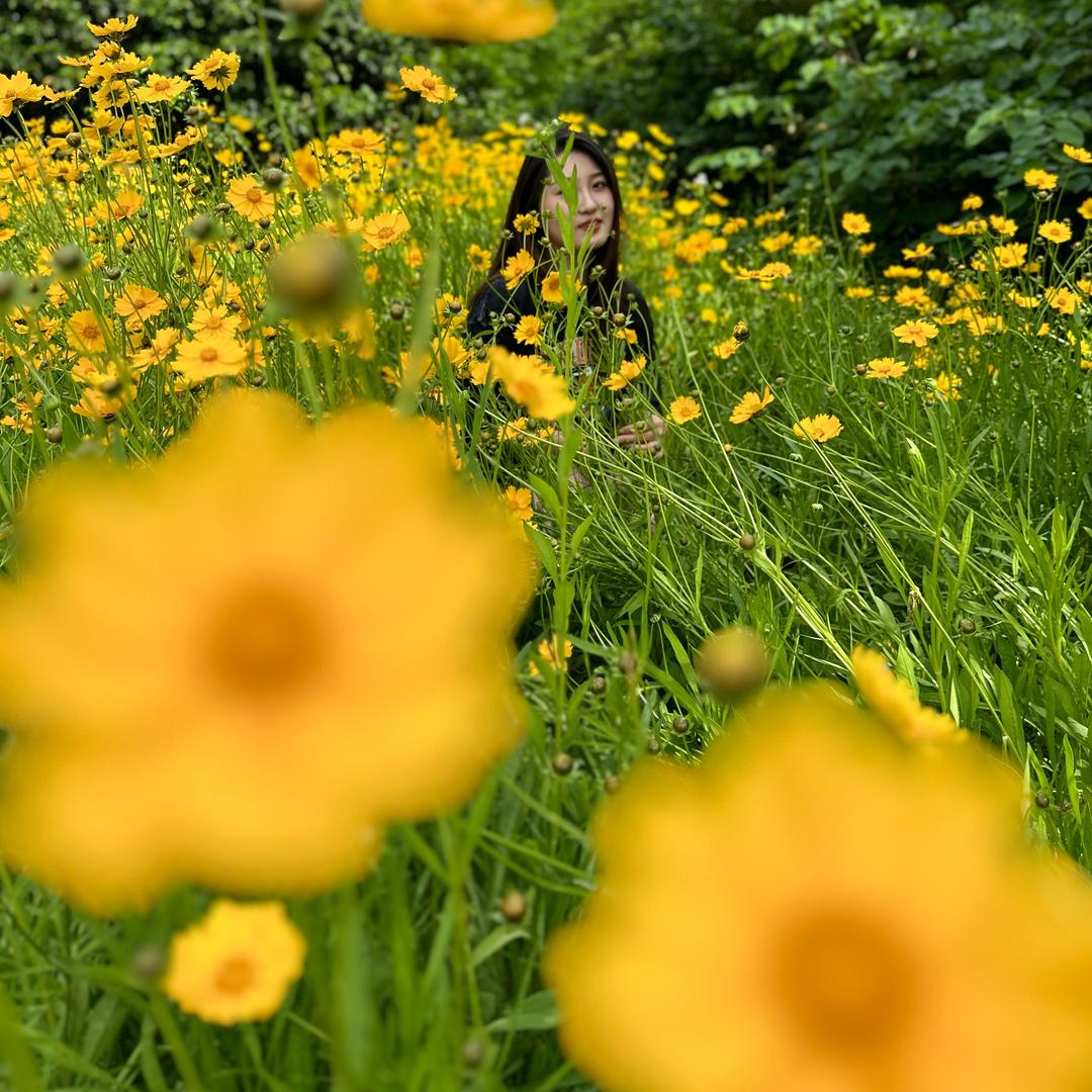 欣欣 （康复中）