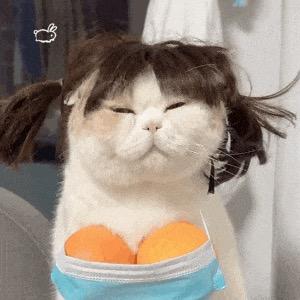晚晚🪹