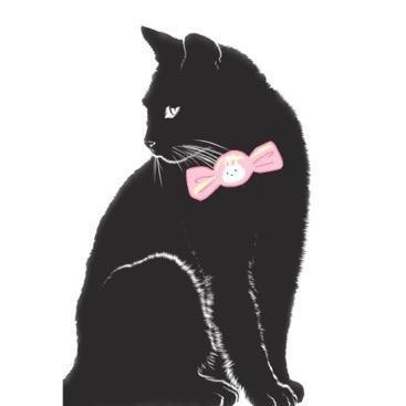 黑猫刑长