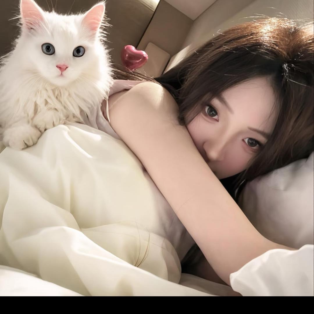 成都领峰租车（租满送车）