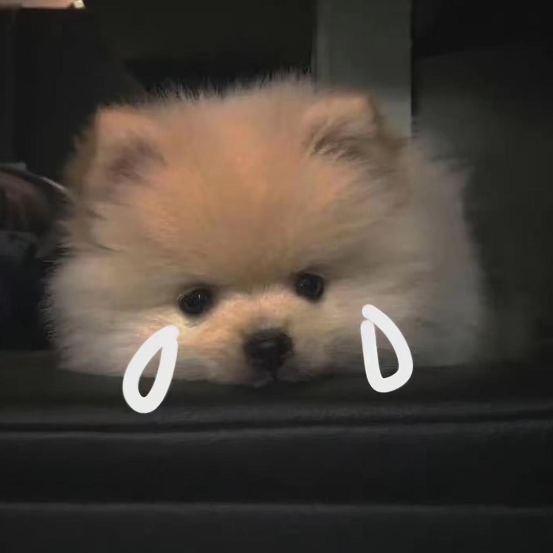 悲伤小狗