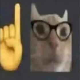 脸滚键盘