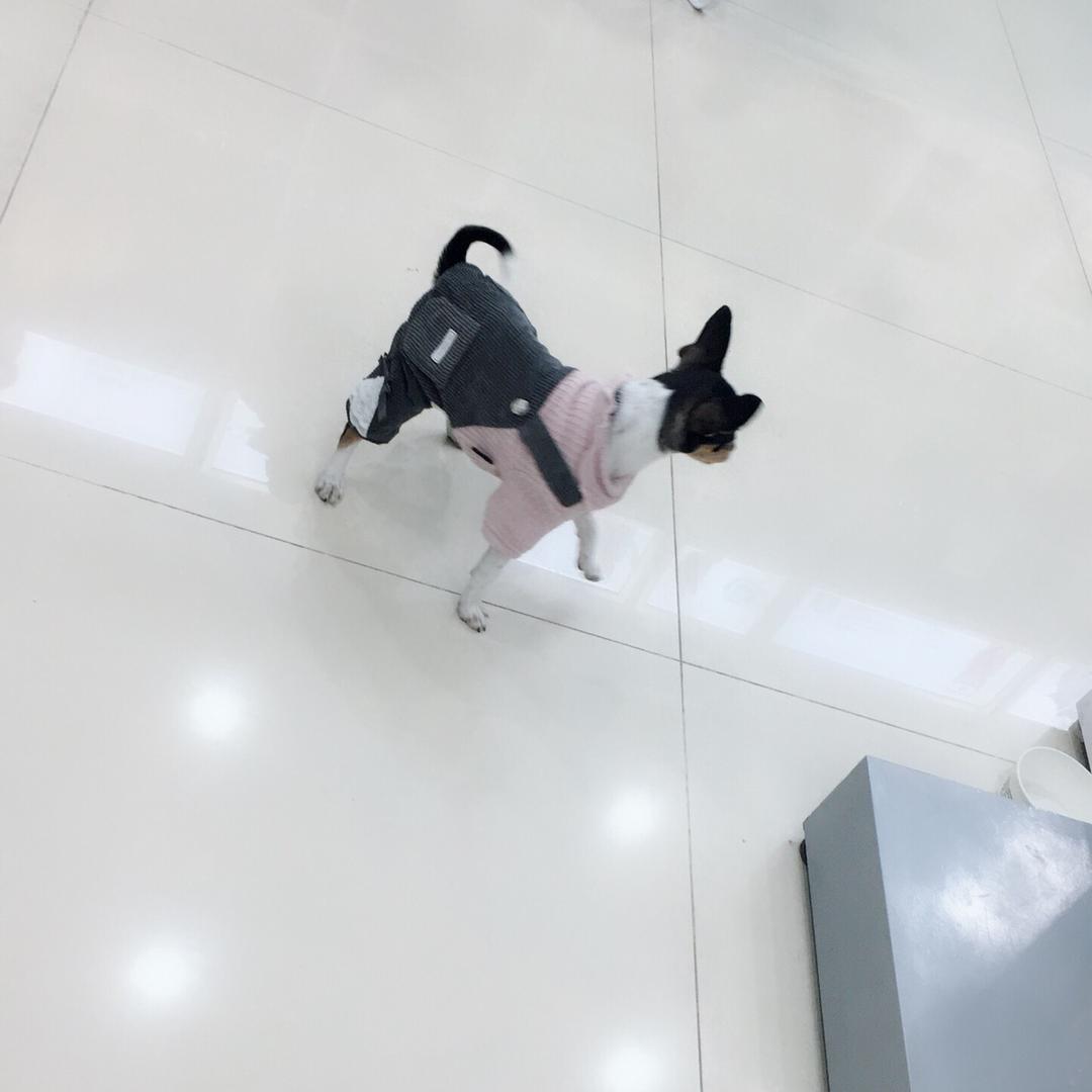 @岁月静好，往事清零、