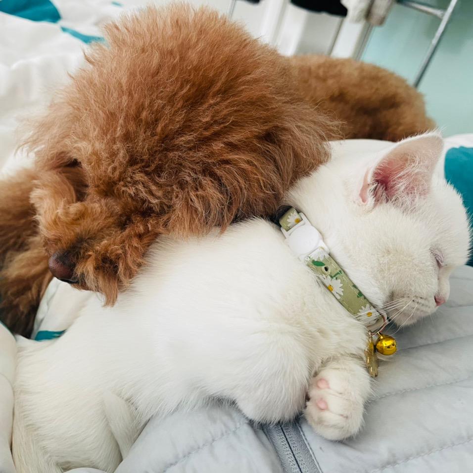 ''Tenderness