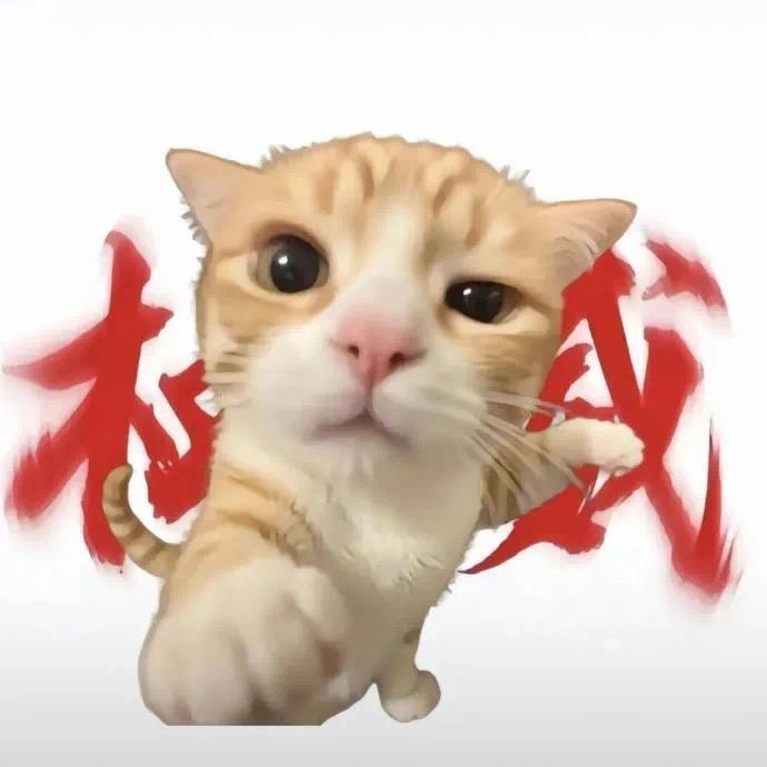 纯情油炸糕