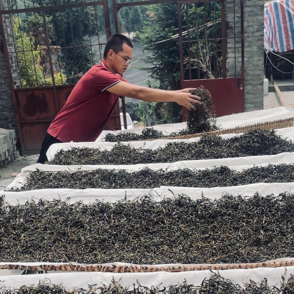 云豪茶叶