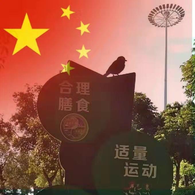 风雨中等你