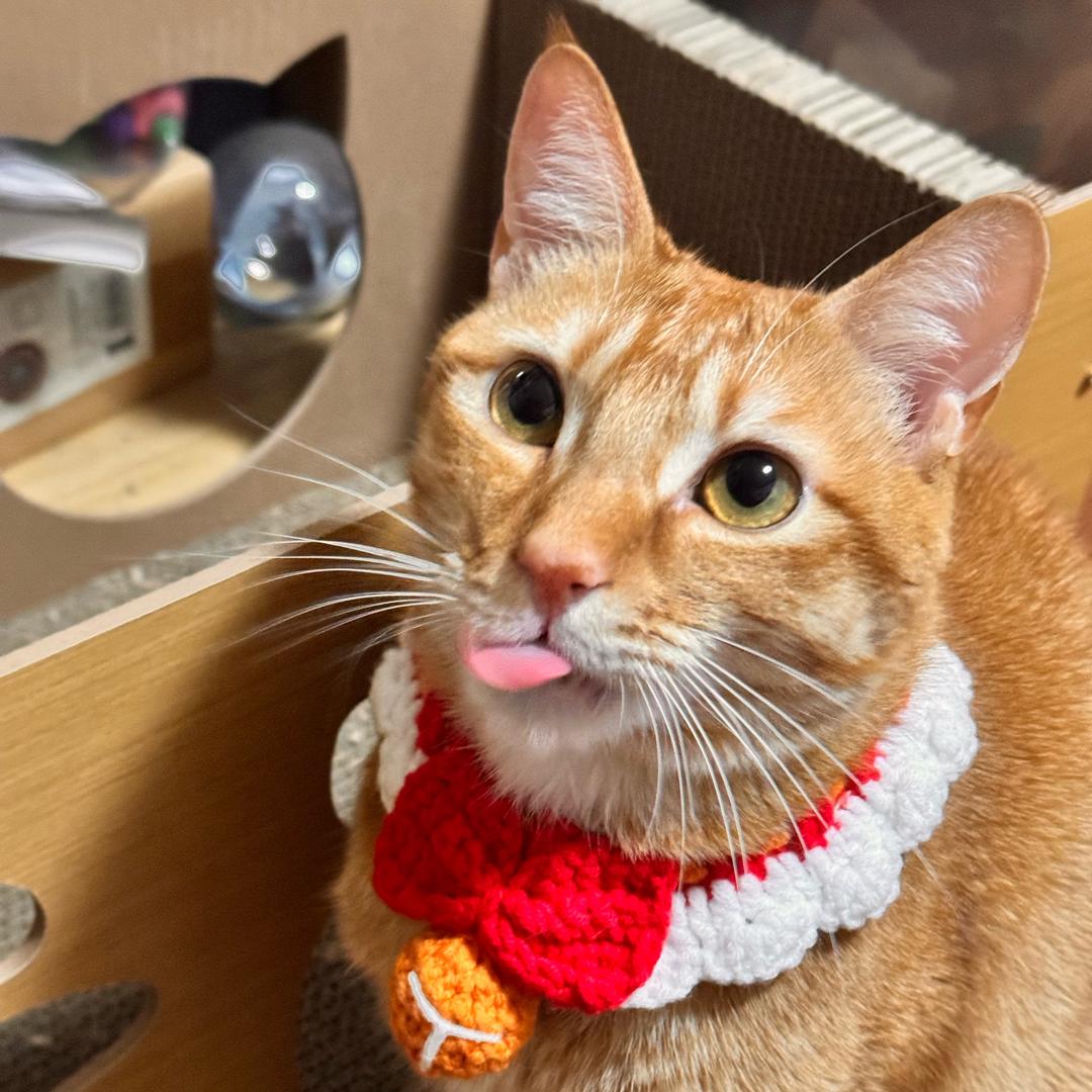 海星星星星星星星星星星