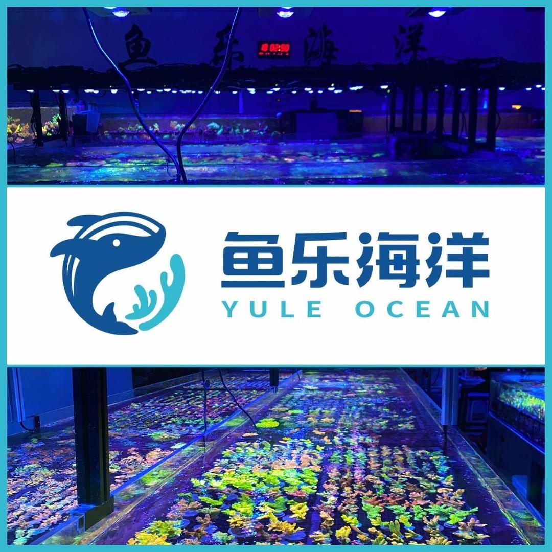 鱼乐海洋珊瑚农场