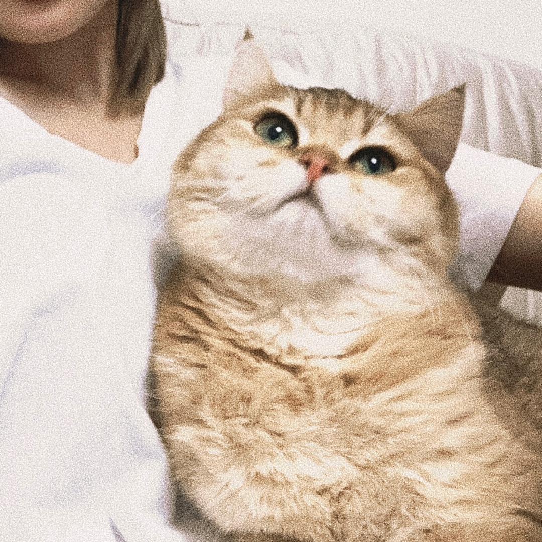 Oatmeal