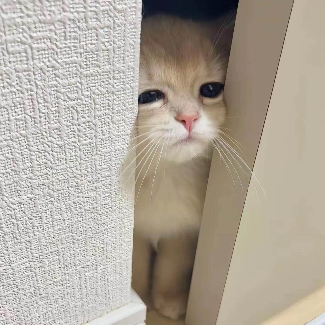 盐