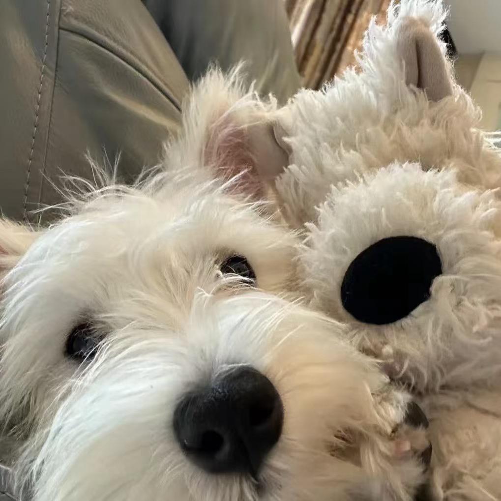 悦儿（宁静致远）❤️