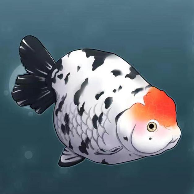 兰寿福利院