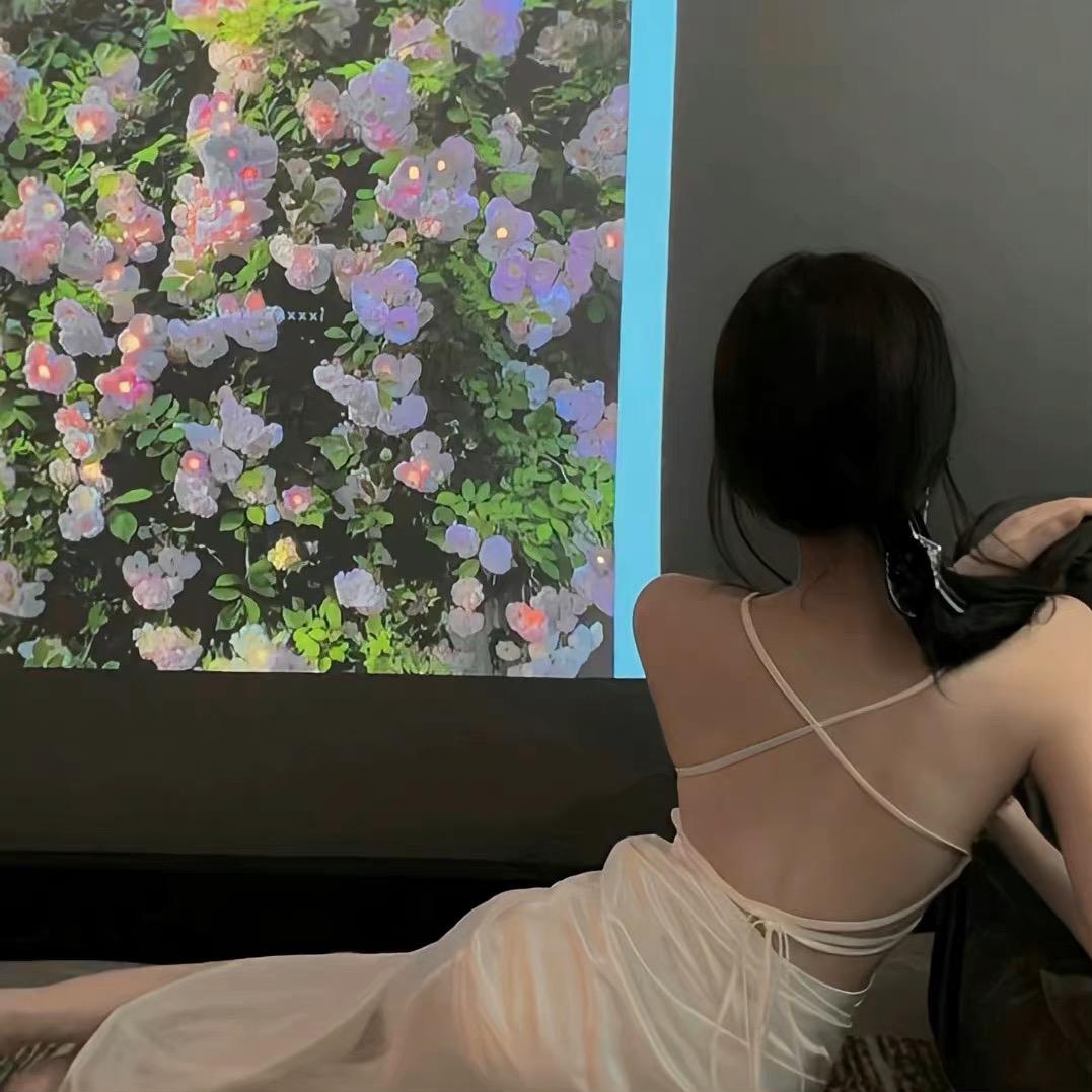 蔷薇🌺