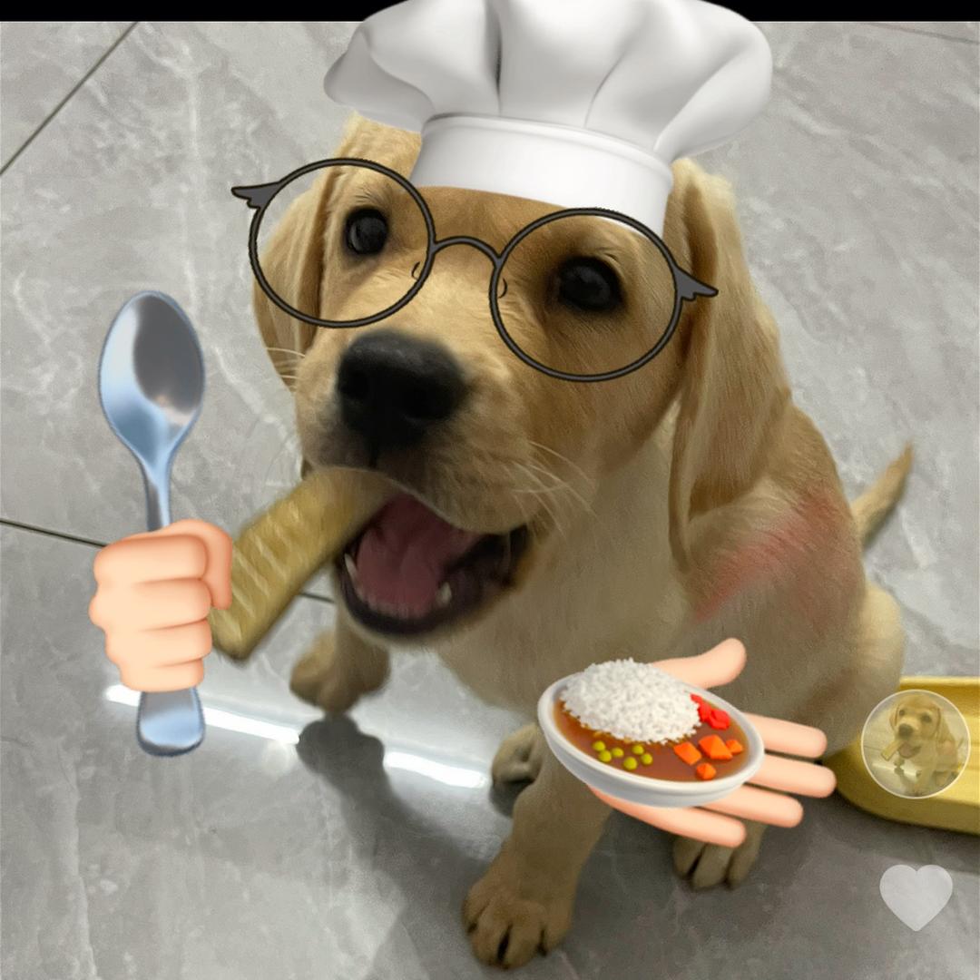 可狗梦