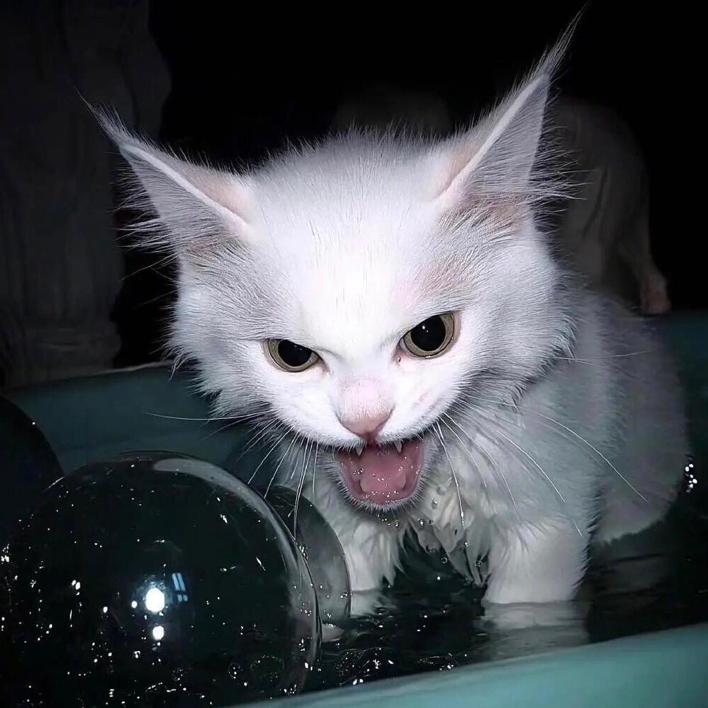 海魚