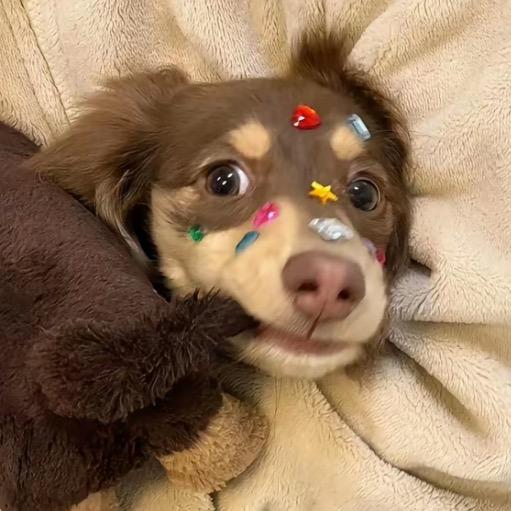 未来.