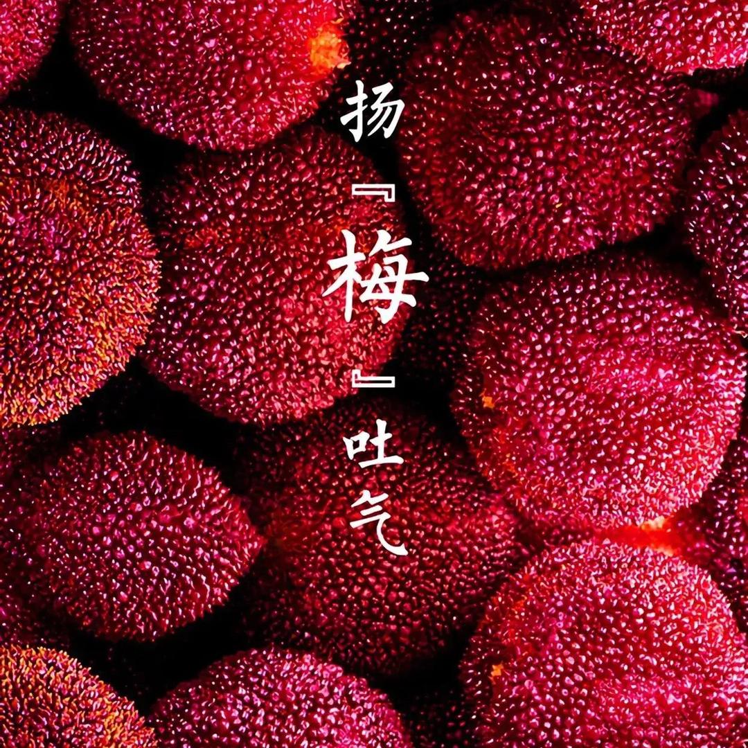 沈醉