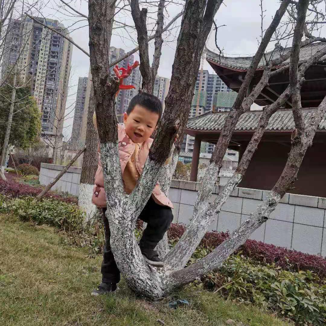 魏姐