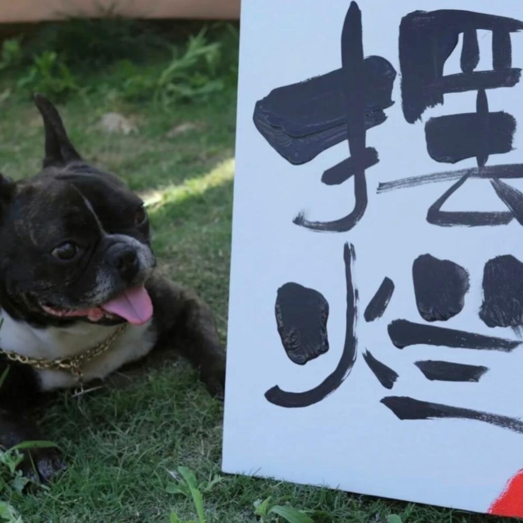 待着呗