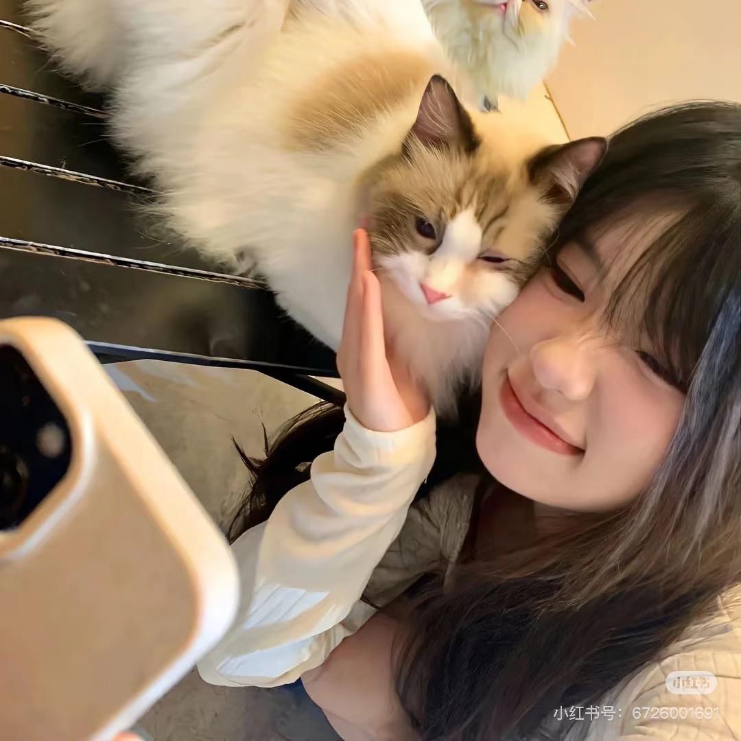 橙橙🧀