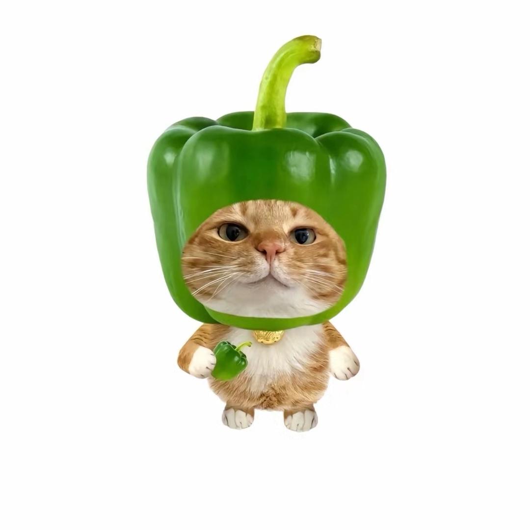 熙哆哆