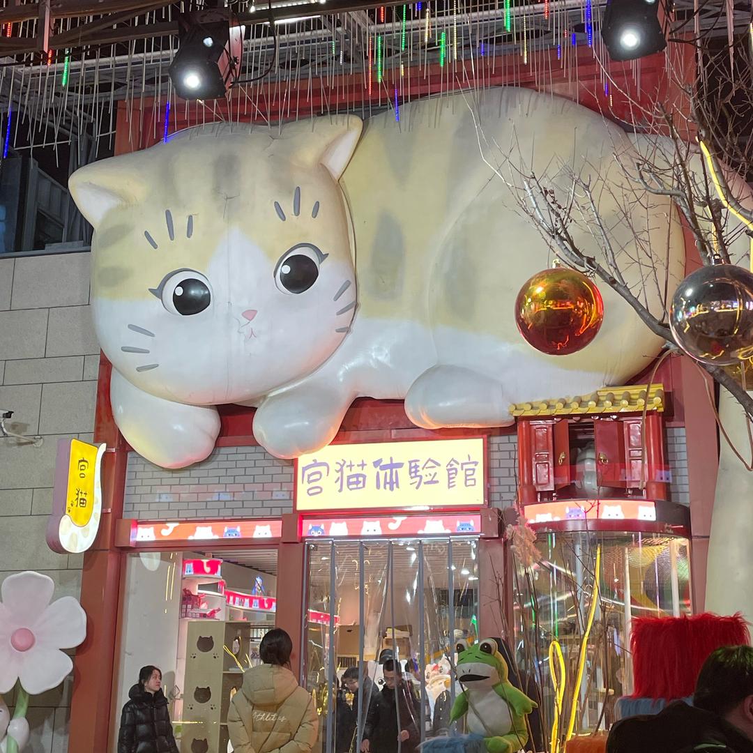 中级经济师小雪老师