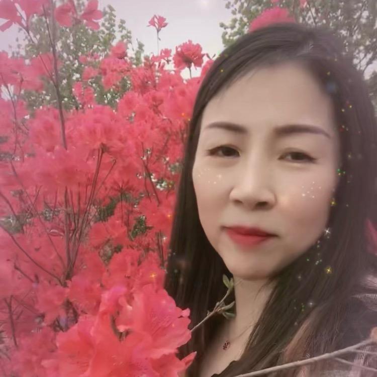 梦幻蝶谷