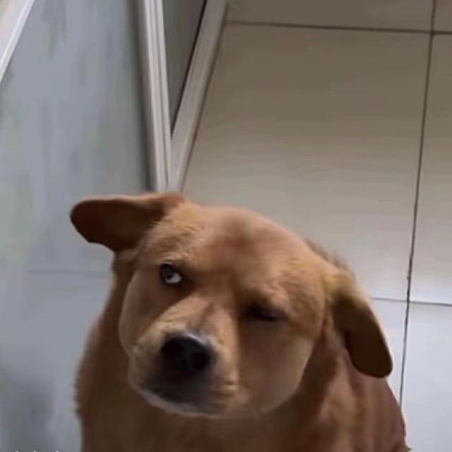 年轻小伙