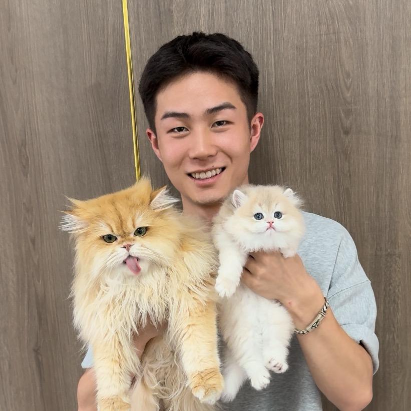 小星−极品熊版猫舍