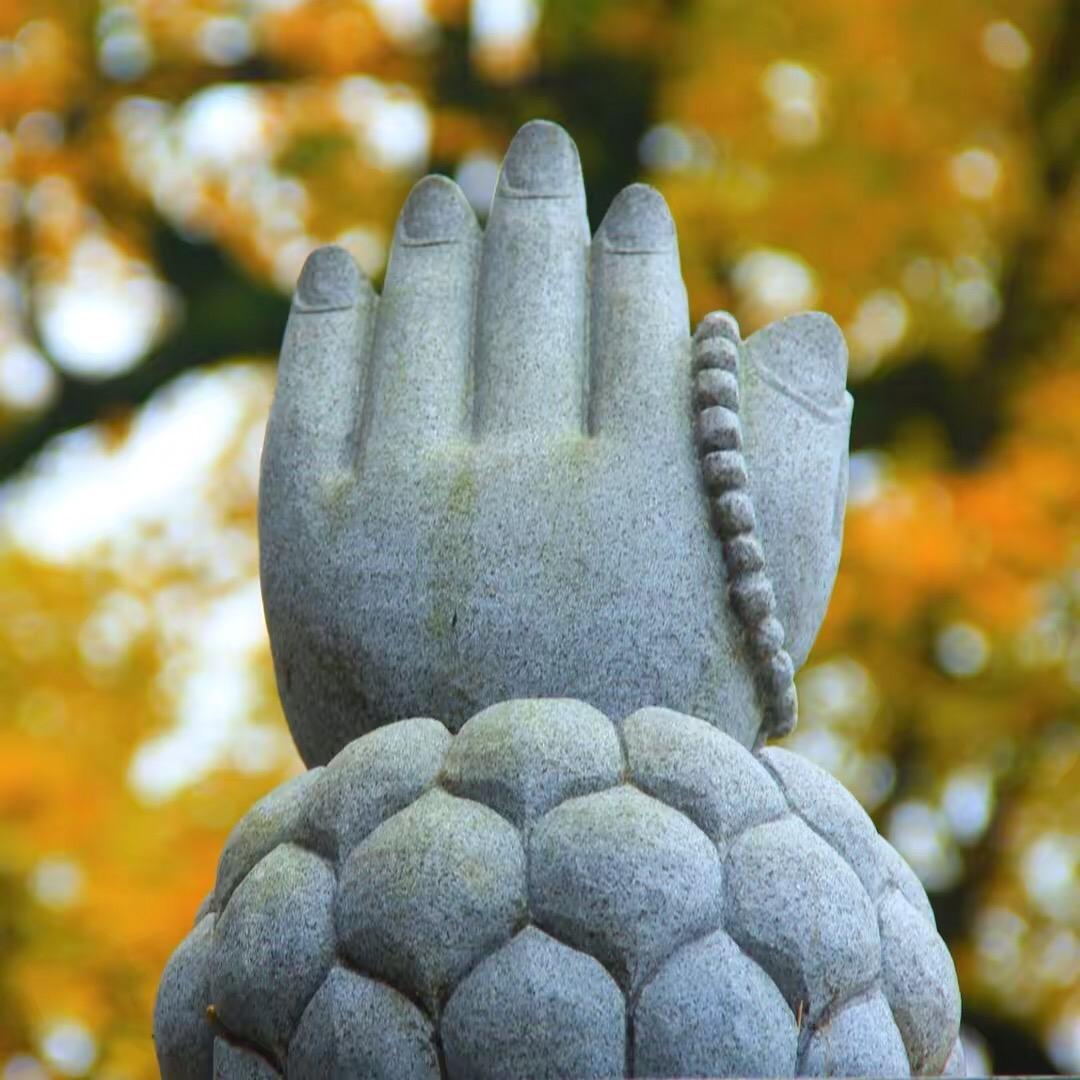 九华山玄空《结缘商品在橱窗》