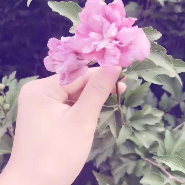 💋三公子吖