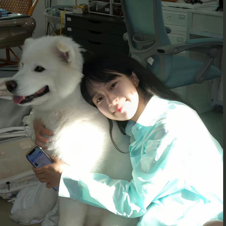 番茄炖了西红柿