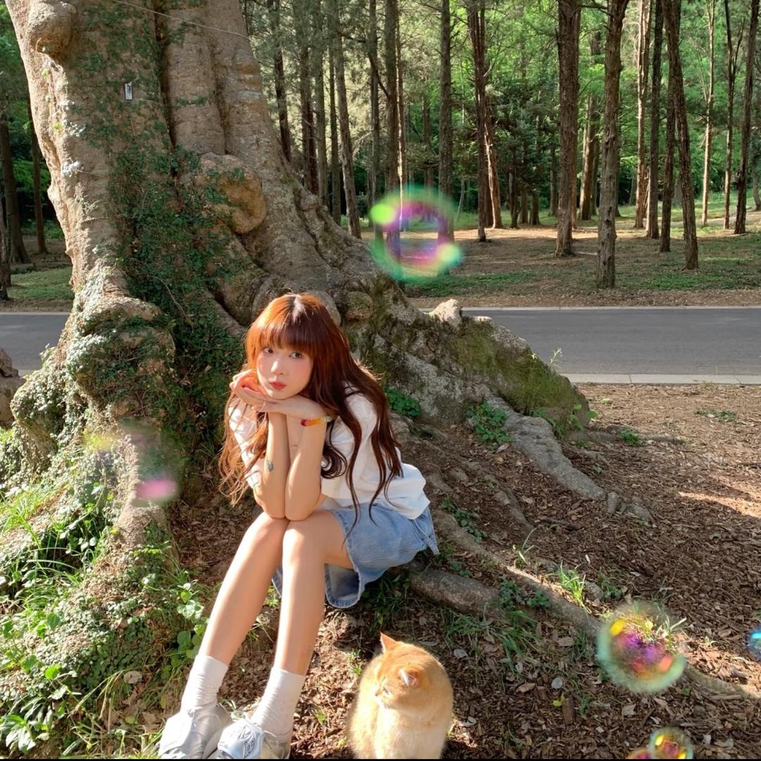 咩啊～🌈