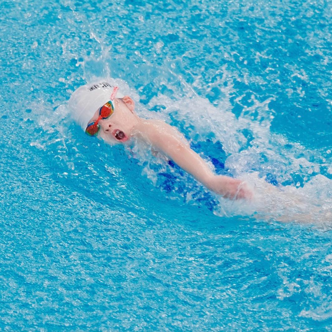 🏊‍♀️小锤在游泳👑