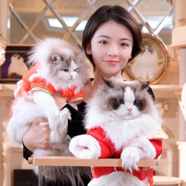OPM布偶猫舍猫姑姑