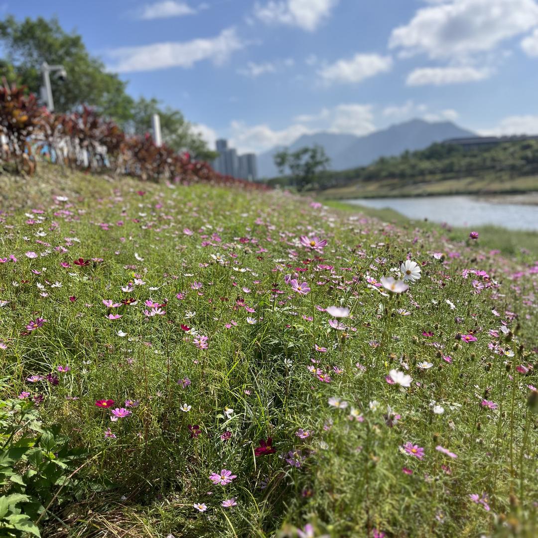 建防丰恒业五金专卖店
