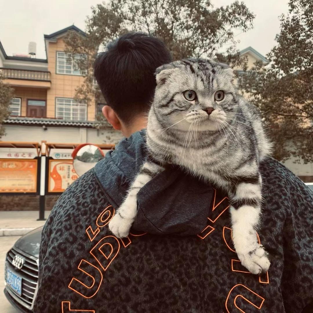 陶到一家男士服装