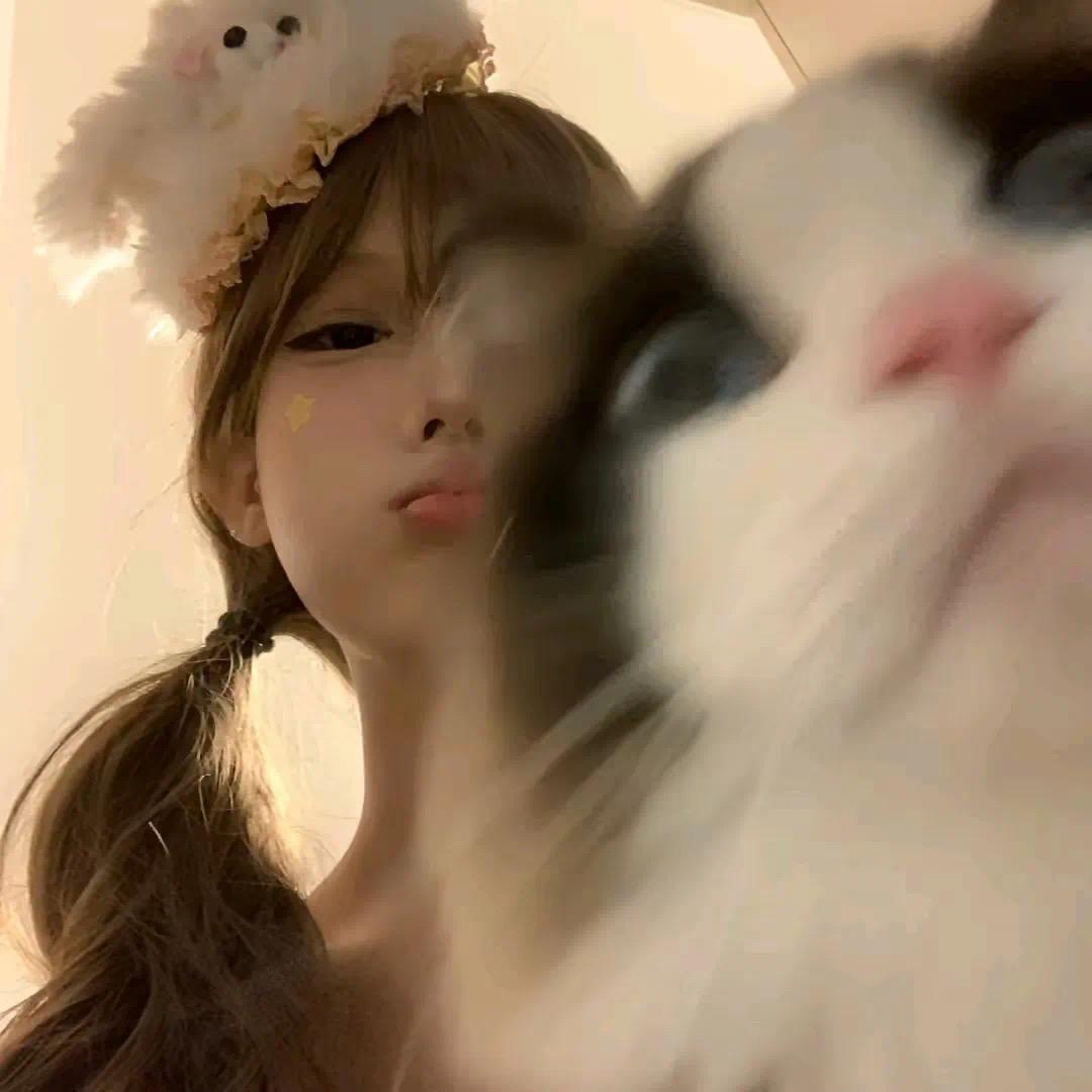 悲伤小绵羊🐑