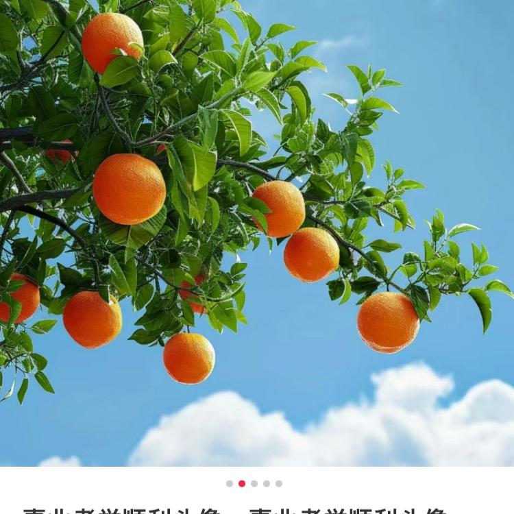 国宝