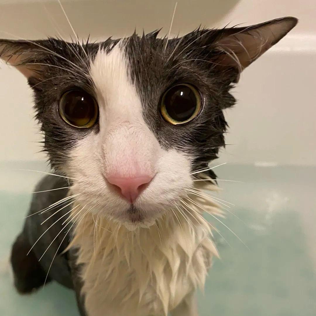 在易云娜嘴里找剩菜