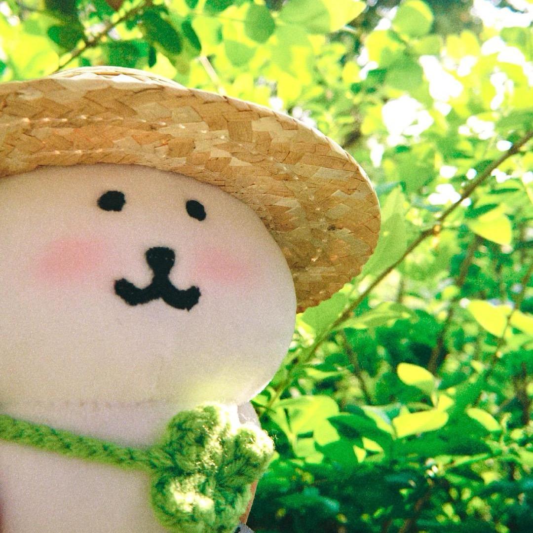 下一次春天