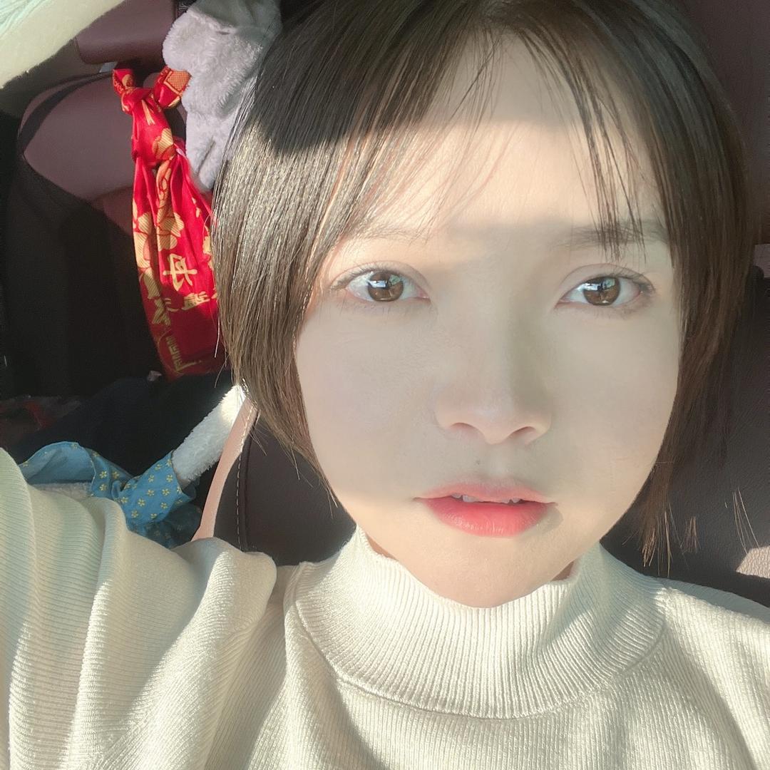 爱花花的小陈吖