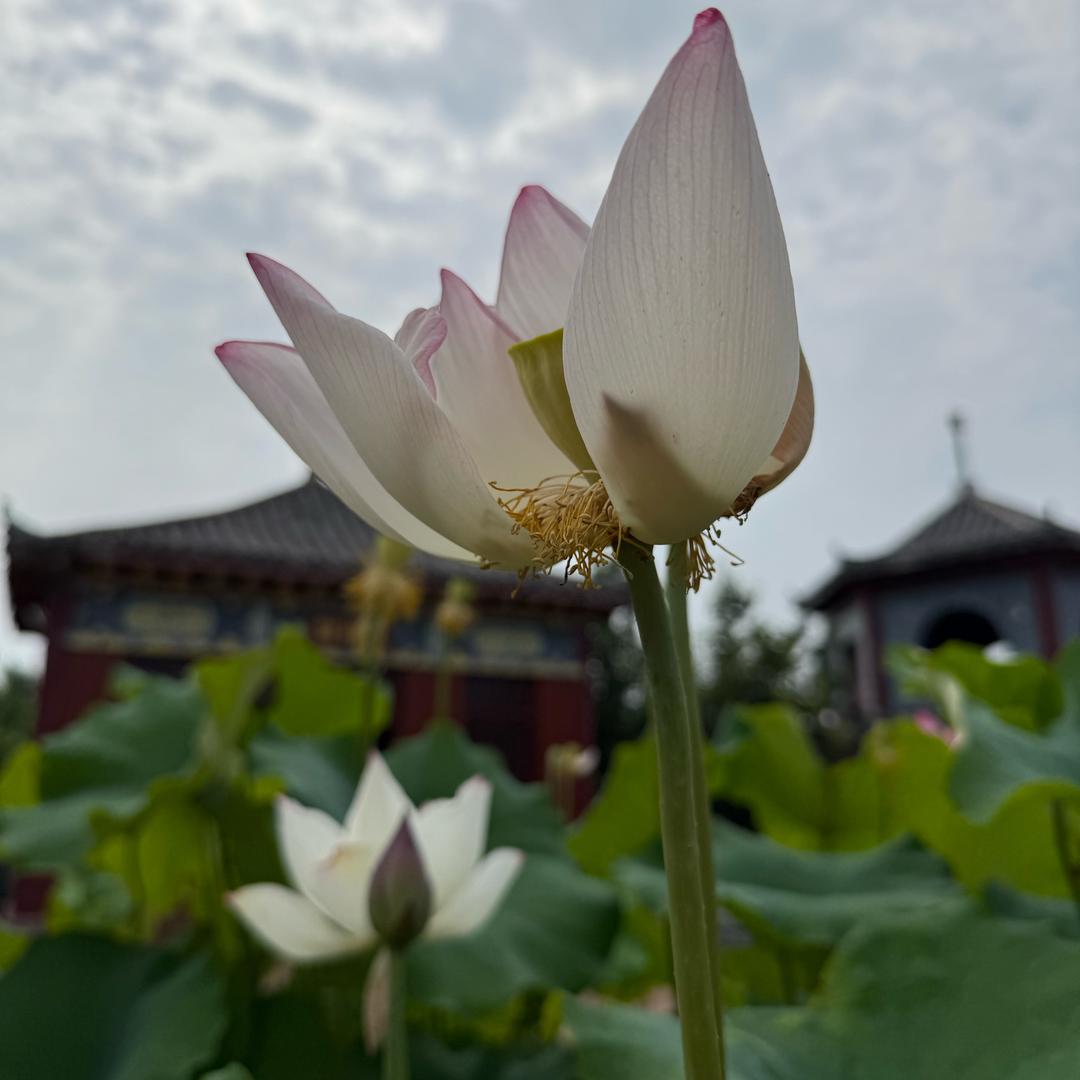 冬梅999
