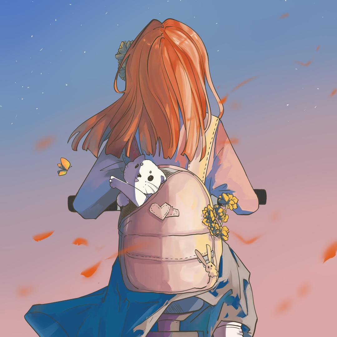 吉祥龟宠